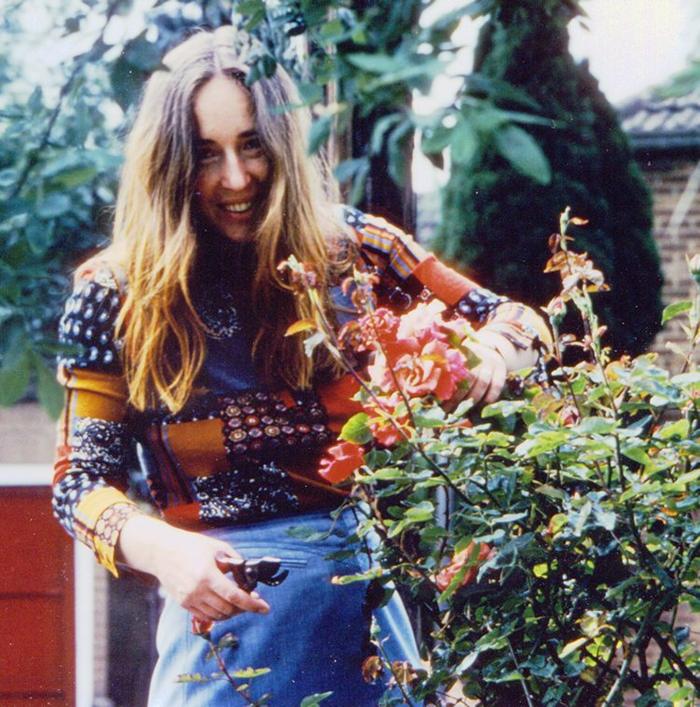 Old Windsor roses