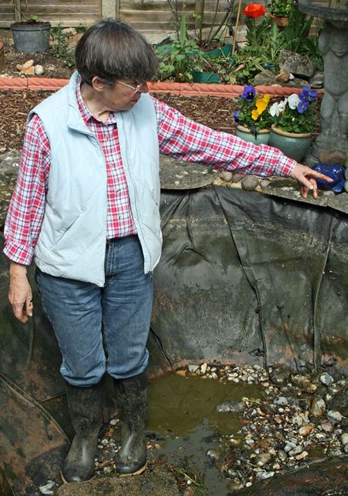 Draining the pond, May 2007