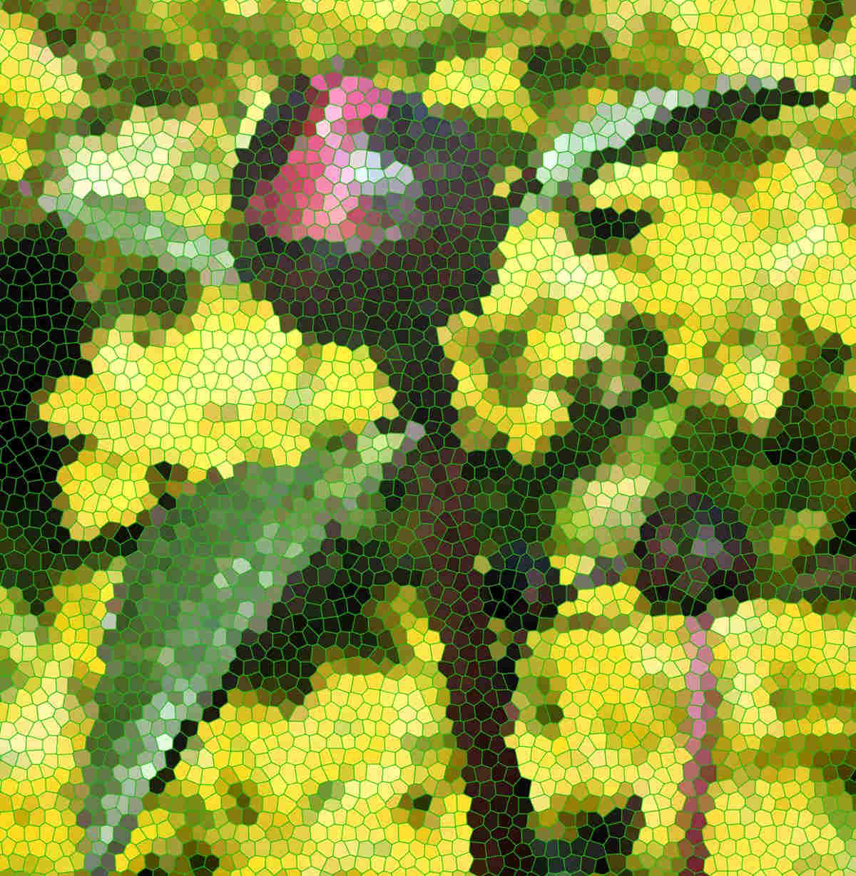 Mosaic peony