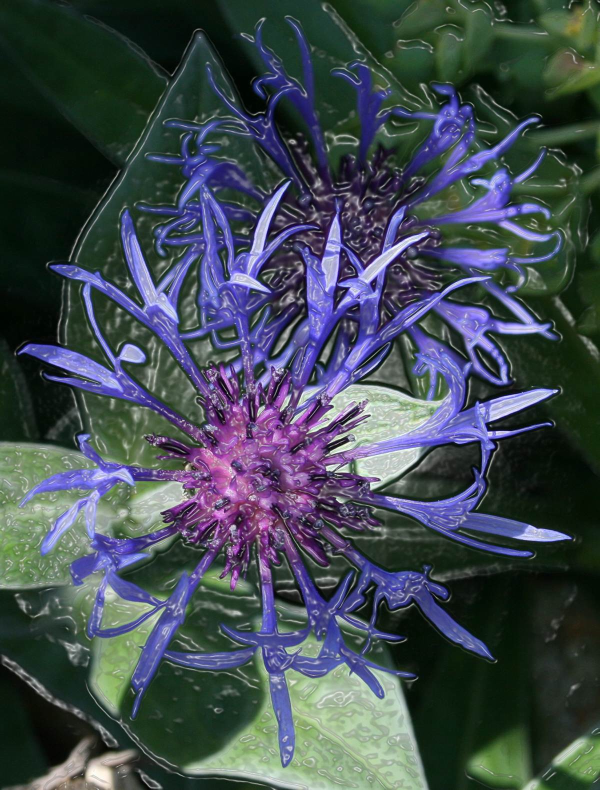 Plastic cornflower