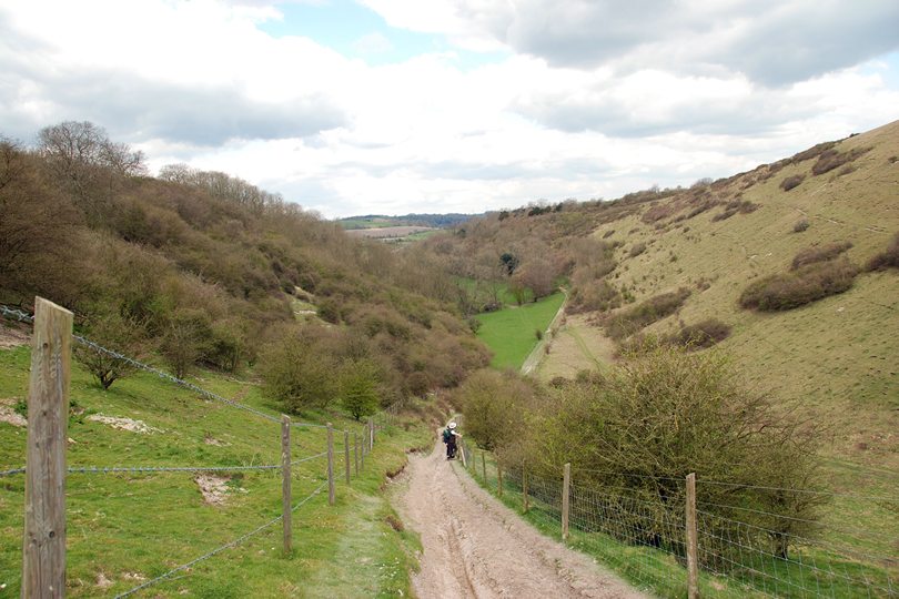 Butser Hill