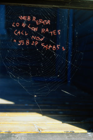 Marketing Tips For Spiders