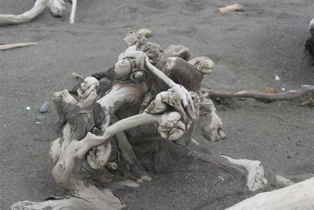 NZ flotsam