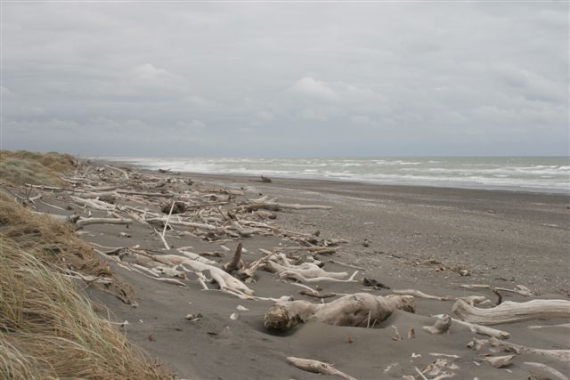 Skeleton Coast