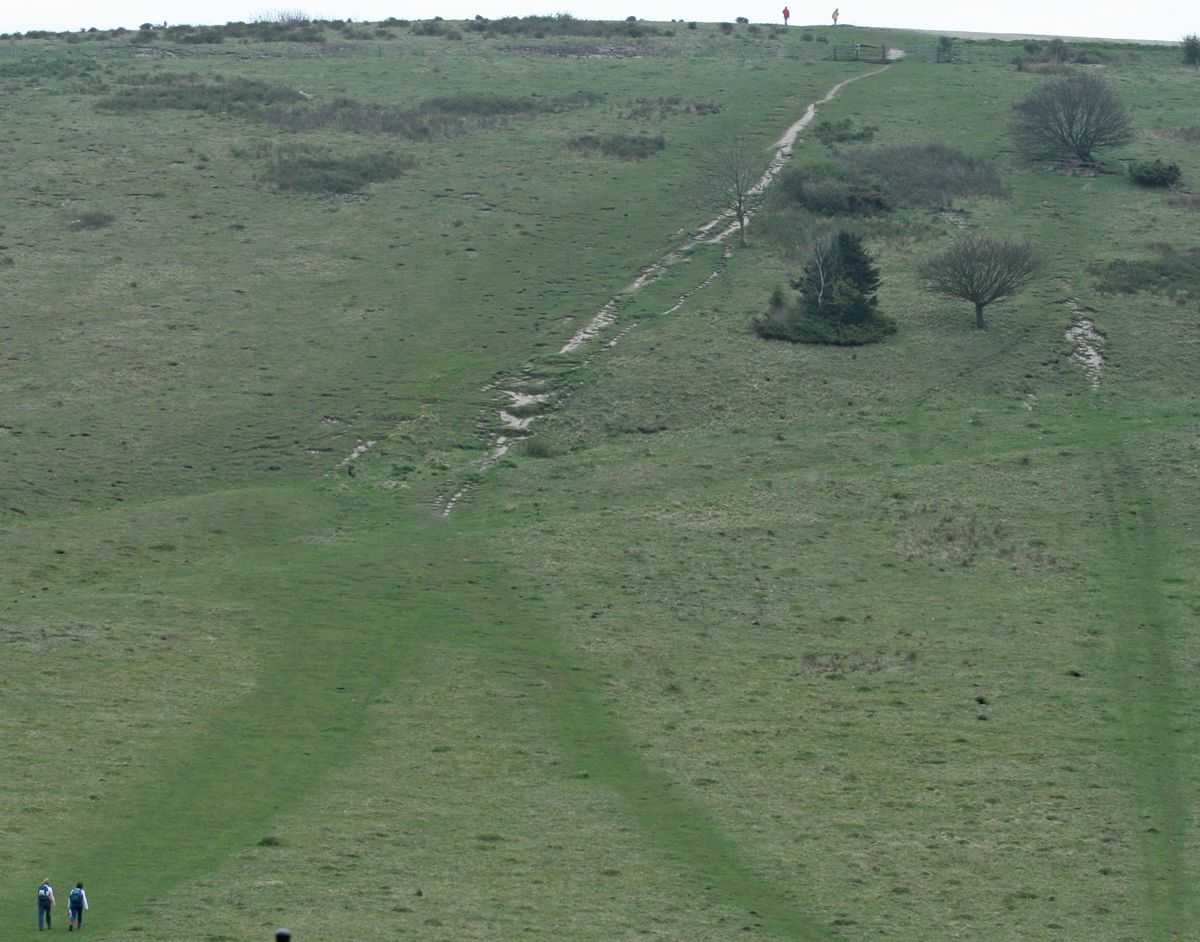Bramshott Bottom