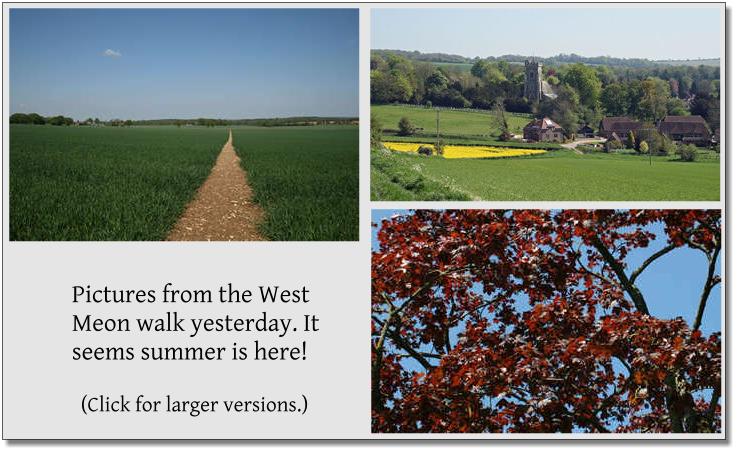 West Meon postcard