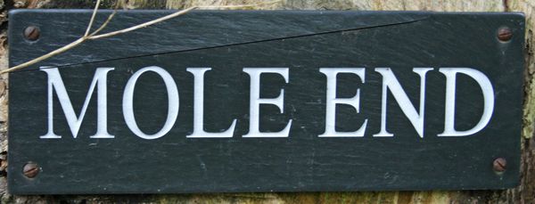 Mole End