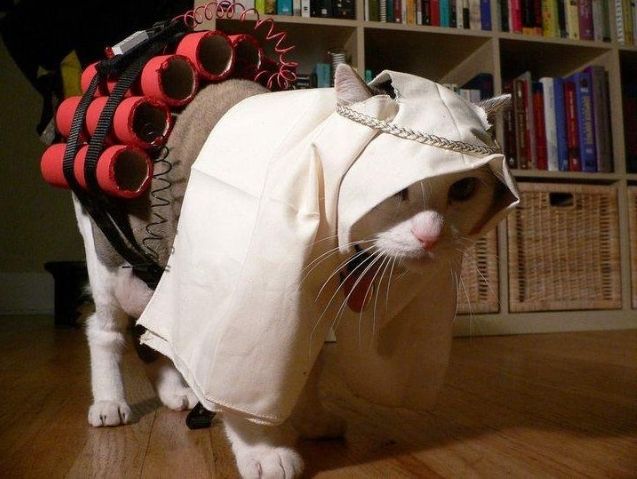 Muslim pussy(cat)